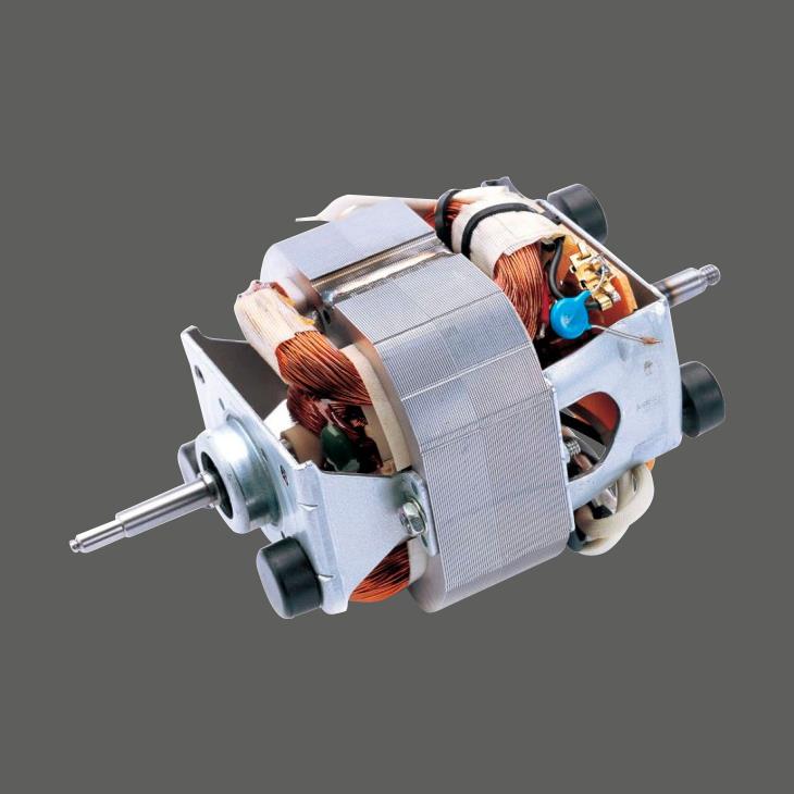 220V Jaudīgs Sawer Motor