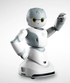Pārnesumkārba robotu projektēšanai un pielāgotiem pakalpojumiem