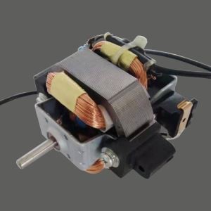 5415 Blow Drier Motor