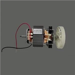 Maiņstrāvas elektriskā blendera motors